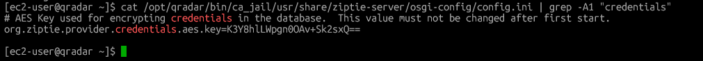 ZipTie config.ini showing the credential encryption AES key identical to the licence key, with the comment that it must never be changed